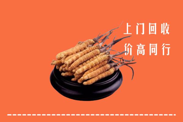 刚察县回收散虫草