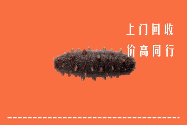 刚察县回收海参