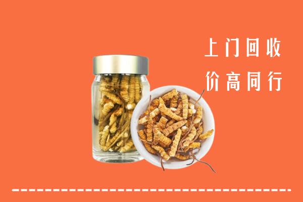 刚察县回收冬虫夏草